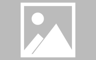 诸暨编制网站建设（编制网站建设包括哪些）